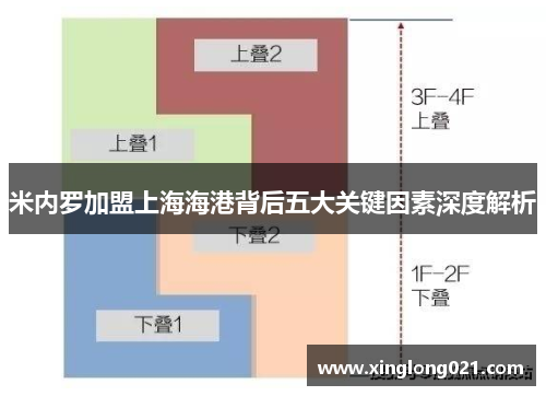 米内罗加盟上海海港背后五大关键因素深度解析